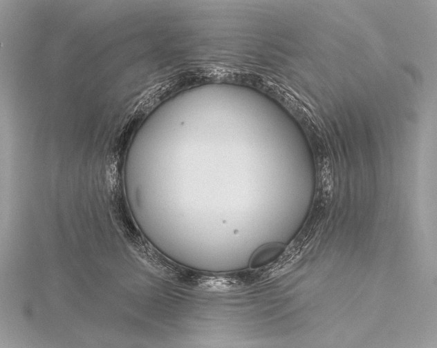 X0000115810611200912041608