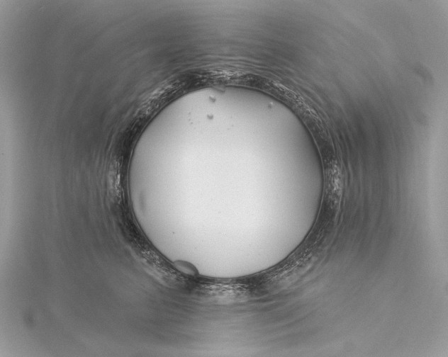 X0000115810615200912041608