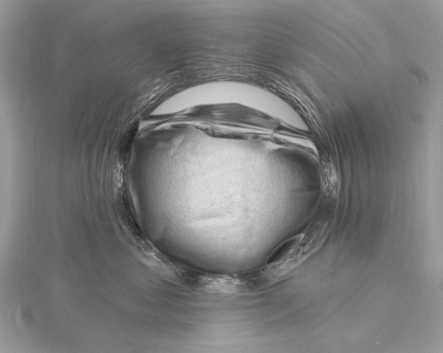 X0000115810621200912041608