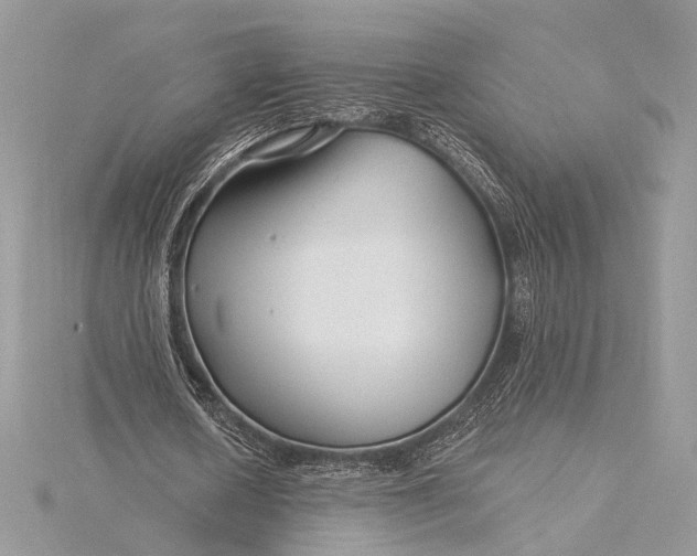 X0000115810626200912041607