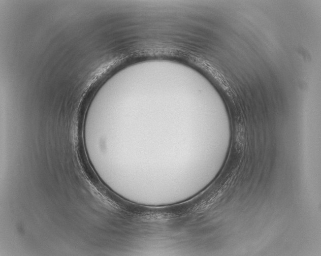 X0000115810629200912041607