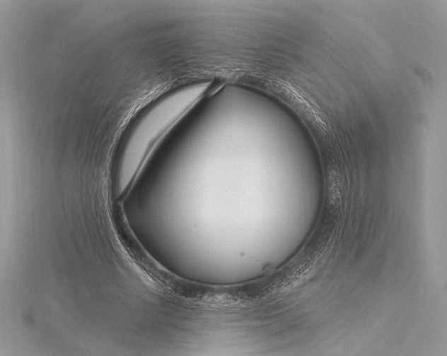 X0000115810634200912041607