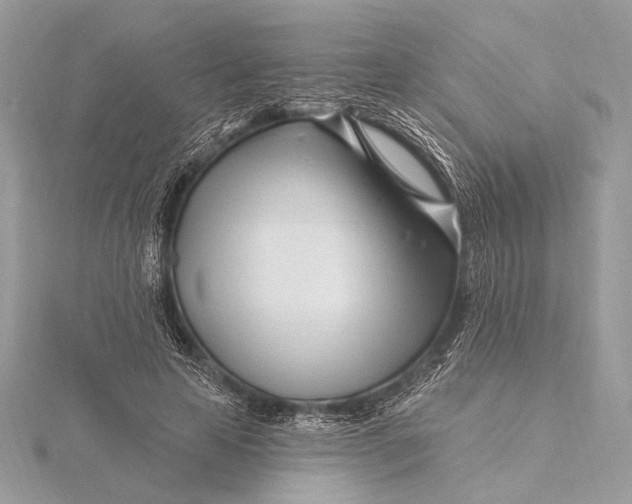 X0000115810641200912041608