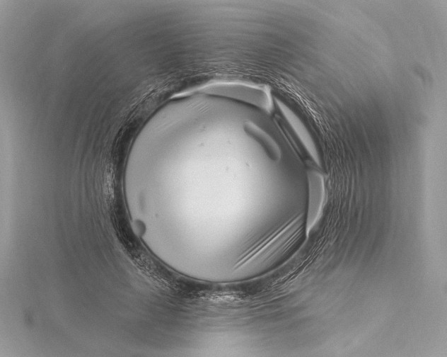 X0000115810643200912041608