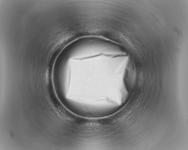 X0000115810644200912041608