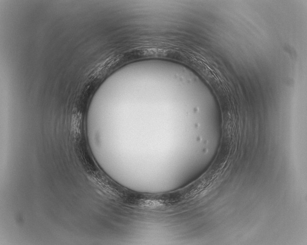 X0000115810649200912041608