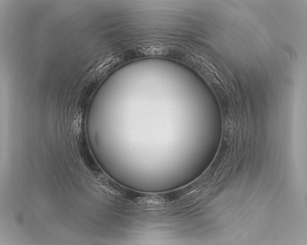 X0000115810652200912041608
