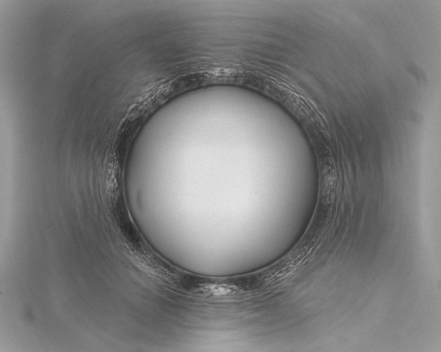 X0000115810654200912041608