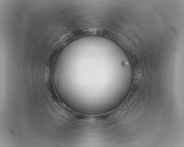 X0000115810656200912041608