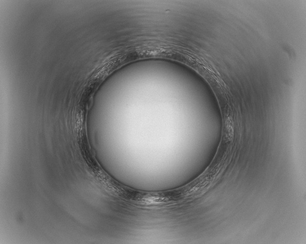 X0000115810657200912041608