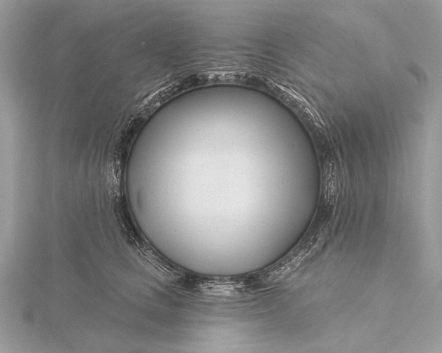 X0000115810661200912041608
