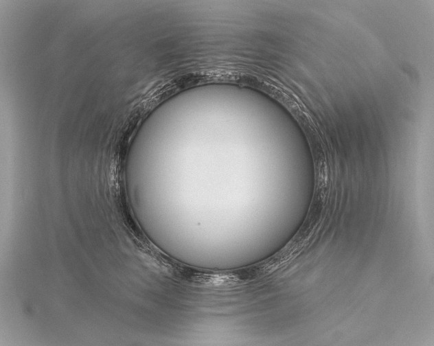 X0000115810663200912041608