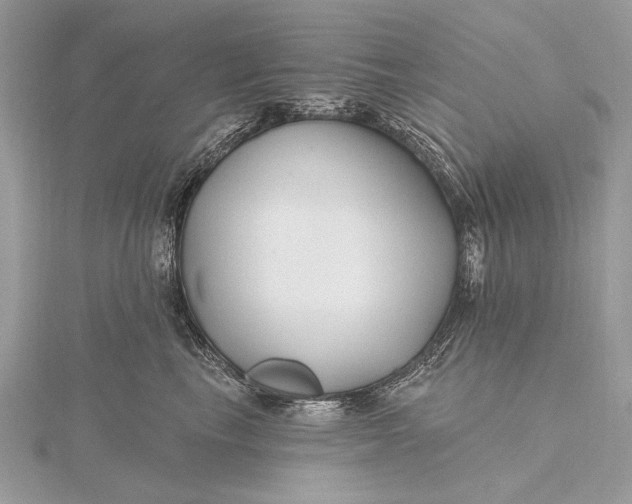 X0000115810665200912041608