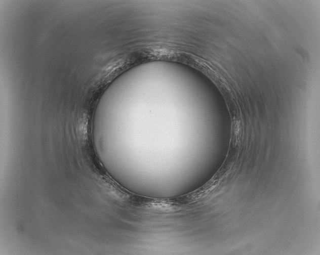 X0000115810668200912041608
