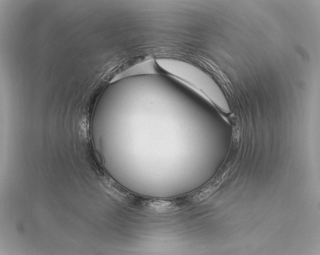 X0000115810669200912041608