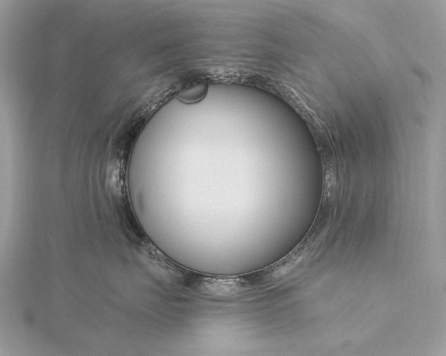 X0000115810671200912041608