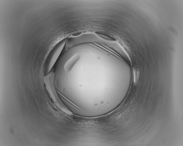 X0000115810675200912041607