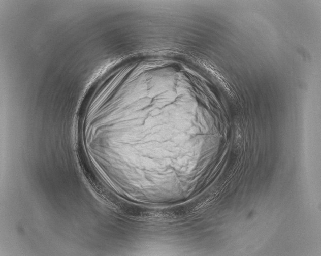 X0000115810678200912041607