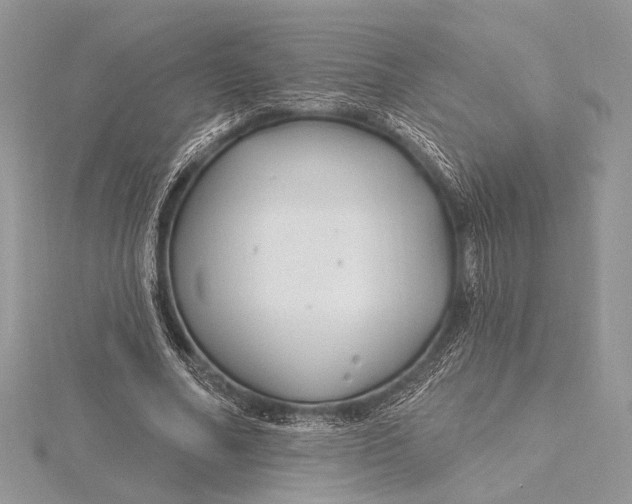 X0000115810682200912041607