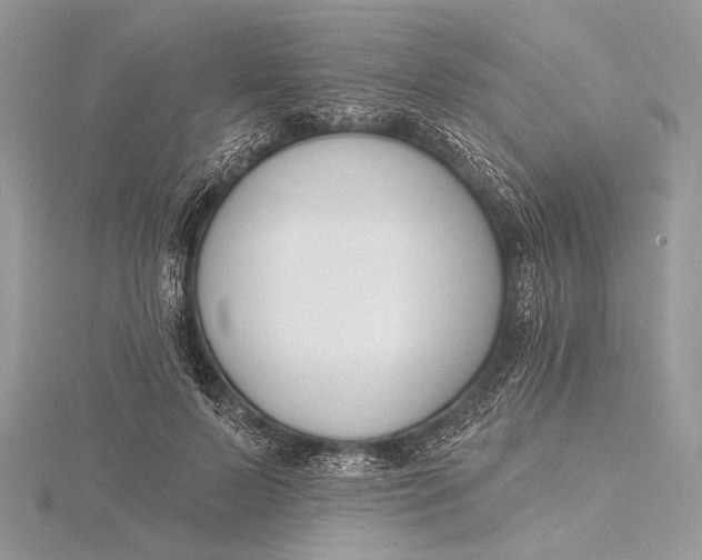 X0000115810695200912041607