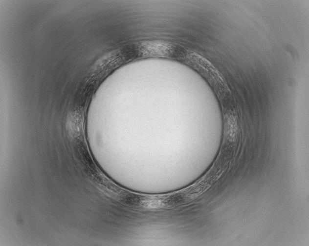 X0000115810701200912041607