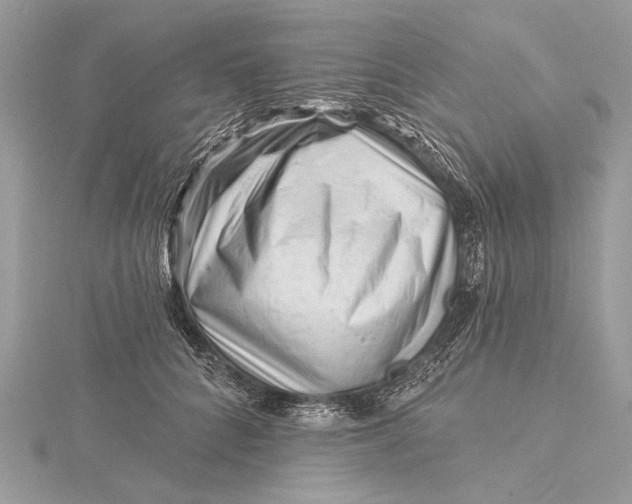 X0000115810704200912041607