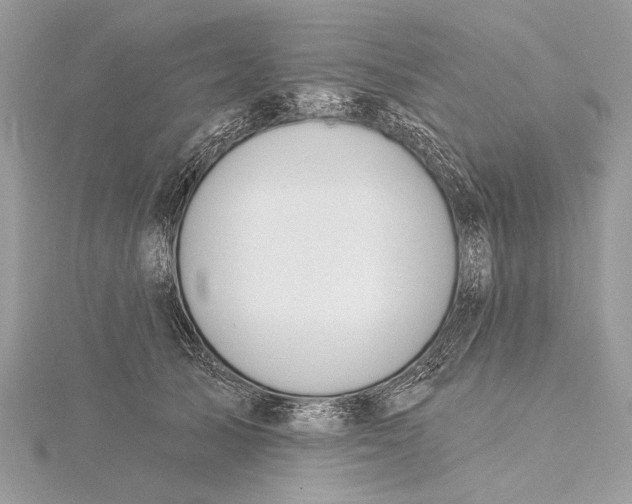 X0000115810705200912041607
