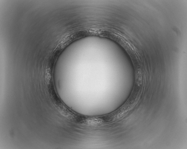 X0000115810707200912041607