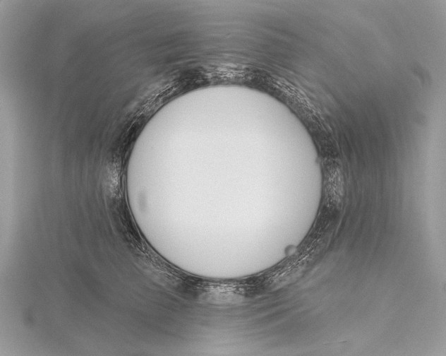 X0000115810709200912041607