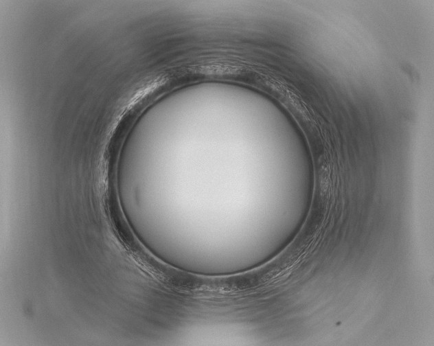 X0000115810727200912041606