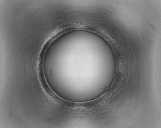 X0000115810730200912041606