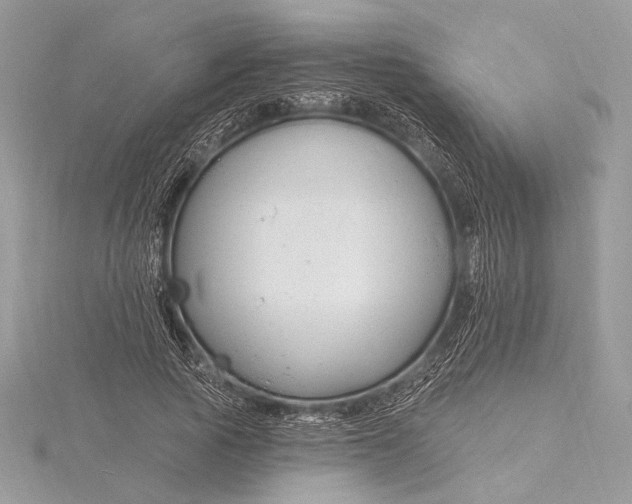X0000115810737200912041606