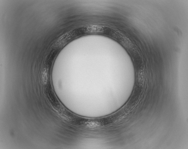 X0000115810741200912041606