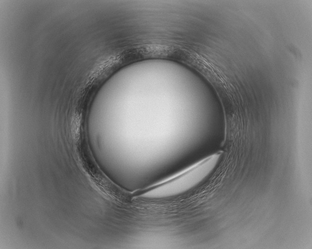 X0000115810742200912041606