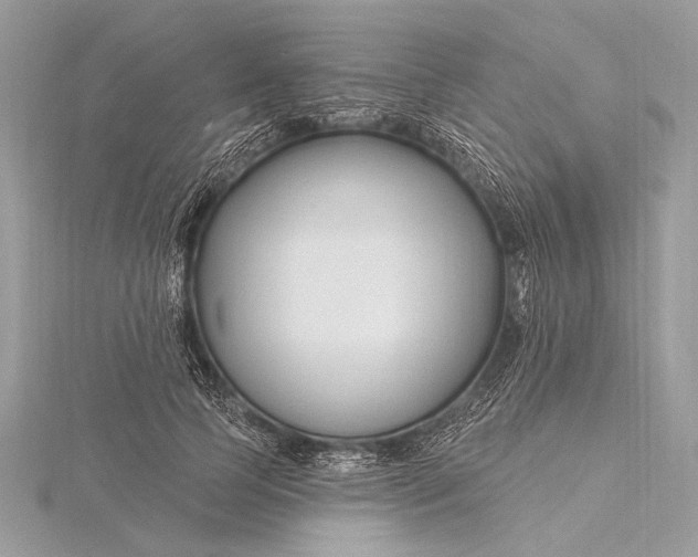 X0000115810745200912041606