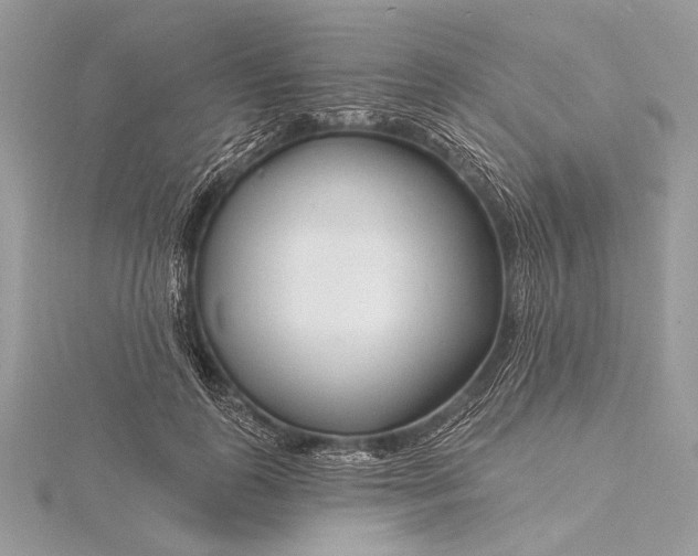 X0000115810747200912041606