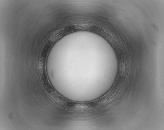 X0000115810749200912041606