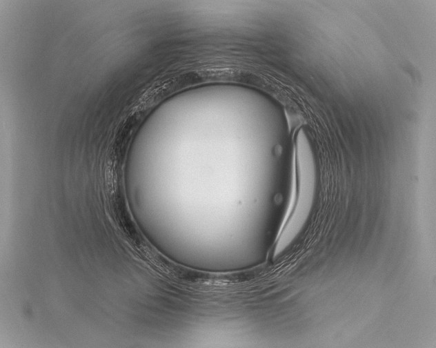 X0000115810751200912041606