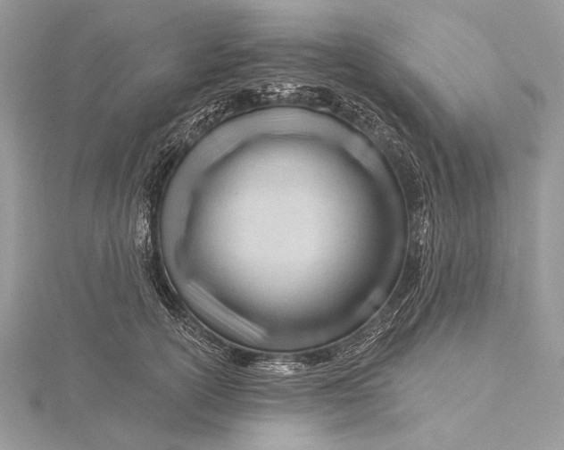 X0000115810754200912041606