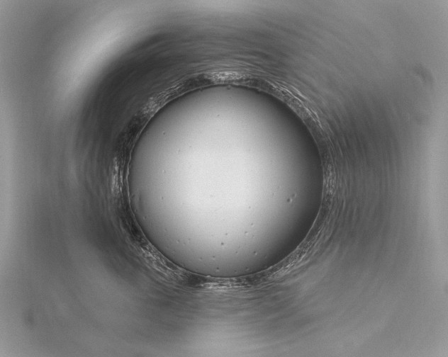 X0000115810763200912041607