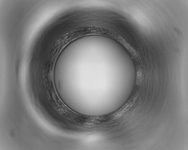 X0000115810765200912041607
