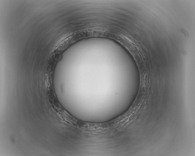 X0000115810774200912041606