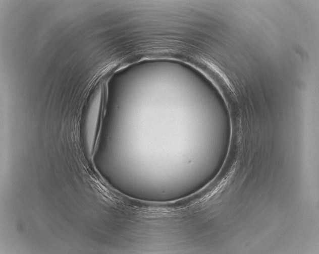 X0000115810777200912041606