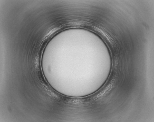 X0000115810778200912041606