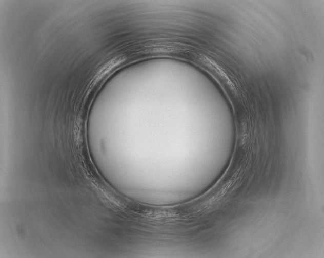 X0000115810786200912041606