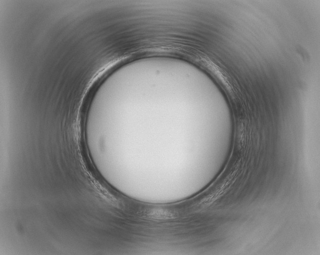 X0000115810787200912041606