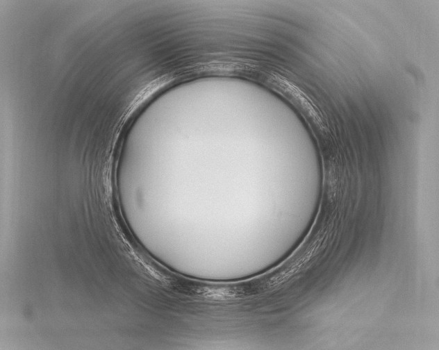 X0000115810794200912041606