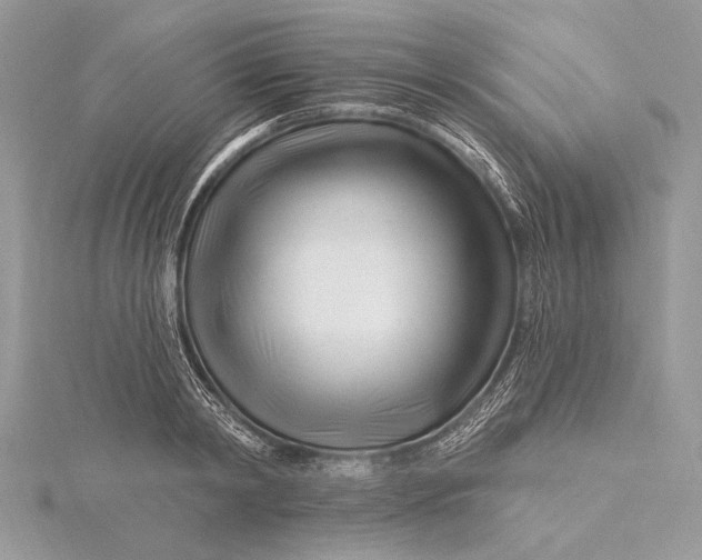 X0000115810798200912041606