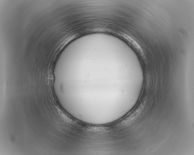 X0000115810801200912041606