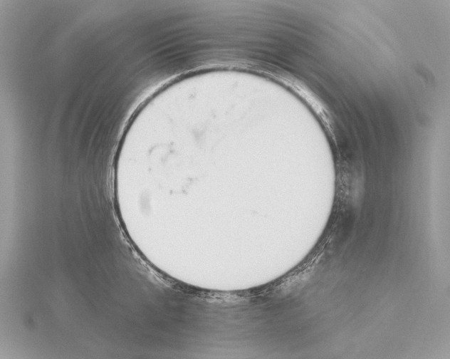 X0000115810807200912041605